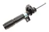 Амортизатор подвески BILSTEIN (22238269) изображение 1