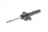Амортизатор передний BILSTEIN (22241818) изображение 1