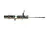 Фото Амортизатор подвески BILSTEIN (22243102) изображение 11