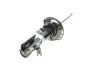 Фото Амортизатор передн Прав FORD MONDEO V FORD USA FUSION 1.0-2.7 09.12 BILSTEIN (22250322) зображення 9
