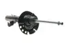 Амортизатор (передній) Ford Focus III 10- (L) 22256362
