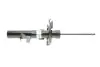 Фото Амортизатор передн Прав FORD C-MAX II, FOCUS III, GRAND C-MAX 1.0-Electric 07.10-02.20 BILSTEIN (22256379) зображення 11