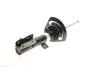 Фото Амортизатор передн Лів JEEP COMPASS 2.0-2.4 08.06 BILSTEIN (22284013) зображення 1