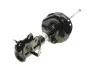 Фото Амортизатор передн Лів HONDA CR-V V 1.5-2.4 12.16 BILSTEIN (22-290939) зображення 1