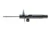 Фото Автозапчасть BILSTEIN (22-306609) изображение 5