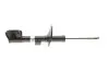 Амортизатор передн Лів/Прав DACIA DUSTER RENAULT DUSTER 1.0-2.0 10.17 BILSTEIN (22306753) зображення 1