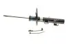 Амортизатор передн Прав VW CALIFORNIA T6 CAMPER, MULTIVAN T6, TRANSPORTER T6, TRANSPORTER T6 / CARAVELLE T6 2.0/2.0D 04.15-08.24 BILSTEIN (23-254701) зображення 1