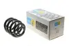 Пружина підвіски задн Лів/Прав VW TRANSPORTER T4 1.8-2.8 07.90-06.03 BILSTEIN (38131240) зображення 1