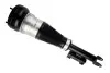Пневматична амортизаційна стійка BILSTEIN (44239978) зображення 1