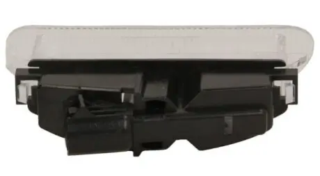 Підсвітка номерного знаку (LED) RENAULT TWINGO II 03.07-09.14 BLIC 540204231905