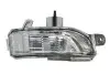 Покажчик повороту в дзеркалі Прав (WY5W) SEAT TOLEDO IV KG3 SKODA FABIA III, RAPID 07.12-03.22 BLIC (5403431305106P) зображення 1
