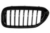 Решетка радиатора Лев (черн глянец) BMW 5 G30, G31, G38, F90 02.17-04.20 BLIC (6502070068991P) изображение 1