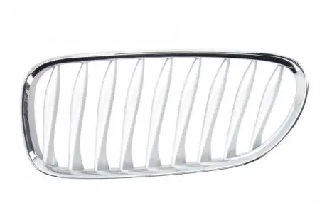 Решітка радіатора Лів (сірий) BMW Z4 E85, E86 02.03-02.09 BLIC 6502070089993P