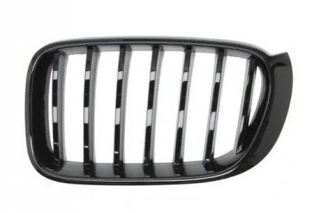 Решітка радіатора Лів (M-PAKIET, чорн глянець) BMW X3 F25, X4 F26 04.14-05.18 BLIC 65020700939977P
