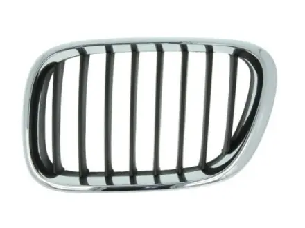 Решітка радіатора Лів (хром/чорн) BMW X5 E53 05.00-12.03 BLIC 6502070095993P