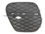 Решітка бампера передн Лів (чорн) BMW X5 E70 04.10-06.13 BLIC (6502070096915P) зображення 1