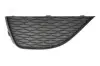 Решітка бампера передн Лів (пластик, чорн) SEAT IBIZA IV 6J 03.08-03.12 BLIC (6502076621917P) зображення 1