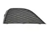 Решітка бампера передн Прав (пластик, чорн) SEAT IBIZA IV 6J 03.08-03.12 BLIC (6502076621918P) зображення 1