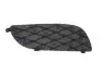 Решітка бампера передн Лів (чорн) TOYOTA YARIS XP10 03.03-11.05 BLIC (6502078109915P) зображення 1