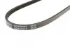 Фото Ремінь генератора Ford Mondeo 2.5 24V 96-07 BLUE PRINT (AD03R682) зображення 3
