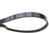 Фото Поліклиновий ремінь (4PK813) BLUE PRINT (AD04R813) зображення 2