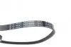 Фото Ремінь генератора Renault Master/Opel Movano 2.5CDTI/dCi 06- BLUE PRINT (AD04R855) зображення 2