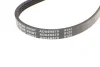 Поліклиновий ремінь (4PK870) BLUE PRINT (AD04R870) зображення 4