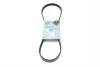 Фото Ремень генератора поликлиновый BLUE PRINT (AD04R915) изображение 1