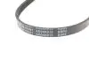Фото Ремень генератора поликлиновый BLUE PRINT (AD04R915) изображение 4