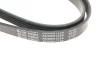 Фото Поліклиновий ремінь (5PK1230) OPEL AGILA A, ASTRA G, ASTRA H, ASTRA H GTC, COMBO, COMBO TOUR, CORSA B, CORSA C, CORSA D, MERIVA A, TIGRA 1.0-1.4LPG 11.96 BLUE PRINT (AD05R1230) зображення 4