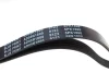Ремень генератора поликлиновый BLUE PRINT (AD05R1800) изображение 3