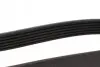 Фото Ремень поликлиновый 6PK1080 HONDA SUBARU BLUE PRINT (AD06R1080) изображение 2