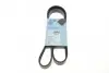 Ремень генератора поликлиновый BLUE PRINT (AD06R1200) изображение 1