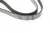 Ремень генератора поликлиновый BLUE PRINT (AD06R1200) изображение 3