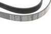 Поліклиновий ремінь (6PK1255) BLUE PRINT (AD06R1255) зображення 5