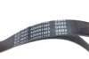 Фото Поліклиновий ремінь (6PK1440) BLUE PRINT (AD06R1440) зображення 2