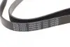 Фото Ремінь генератора Ford Transit 2.0 94- BLUE PRINT (AD06R1468) зображення 3