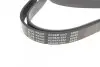 Фото Ремінь генератора Citroen Berlingo/Peugeot Partner 1.6 08- BLUE PRINT (AD06R1692) зображення 2