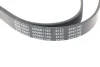 Ремень генератора поликлиновый BLUE PRINT (AD06R1795) изображение 5