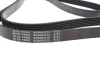 Фото Поліклиновий ремінь (6PK2215) BLUE PRINT (AD06R2215) зображення 2