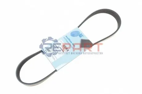 Ремінь генератора Citroen Jumper/Fiat Ducato 2.8HDi/JTD 00- (ALT,WP) BLUE PRINT AD06R805 Купити в Україні