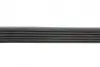 Ремень поликлиновый 6PK894 MINI BLUE PRINT (AD06R894) изображение 2