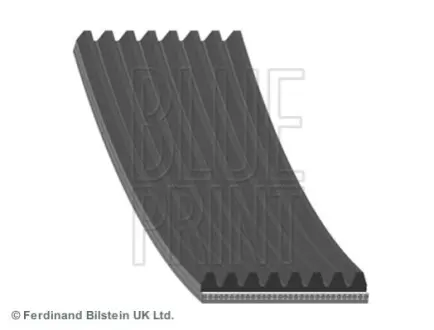 Поліклиновий ремінь (8PK1355) BLUE PRINT AD08R1355 Купити в Україні
