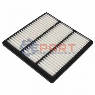 Фото Фільтр повітряний Mitsubishi Pajero/ Montero/ L400 20-3.0 90-07 BLUE PRINT (ADC42222) зображення 1