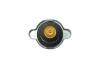 Фото Кришка радіатора Hyundai Elantra/Sonata/Nissan Almera/Primera/Pathfinder 1.0-5.0 78- (1.1bar) BLUE PRINT (ADC49902) зображення 4