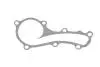 Фото Помпа води Nissan Almera 1.5/1.6/1.8 00-/Primera 1.6/1.8 99-08 (R/B) (6 лоп) BLUE PRINT (ADN19167) зображення 5