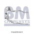 Садовый фильтр BM CATALYSTS (BM11118) изображение 2