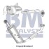 Фильтр сажевый Ford Focus/Mondeo/S-Max 1.6TDCi 10-/Mazda 3 1.6MZR CD 10-13 BM CATALYSTS BM11163H (фото 1)