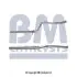 Випускна труба BM CATALYSTS (BM50001) изображение 1