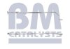 Автозапчастина BM CATALYSTS BM50107 (фото 1)